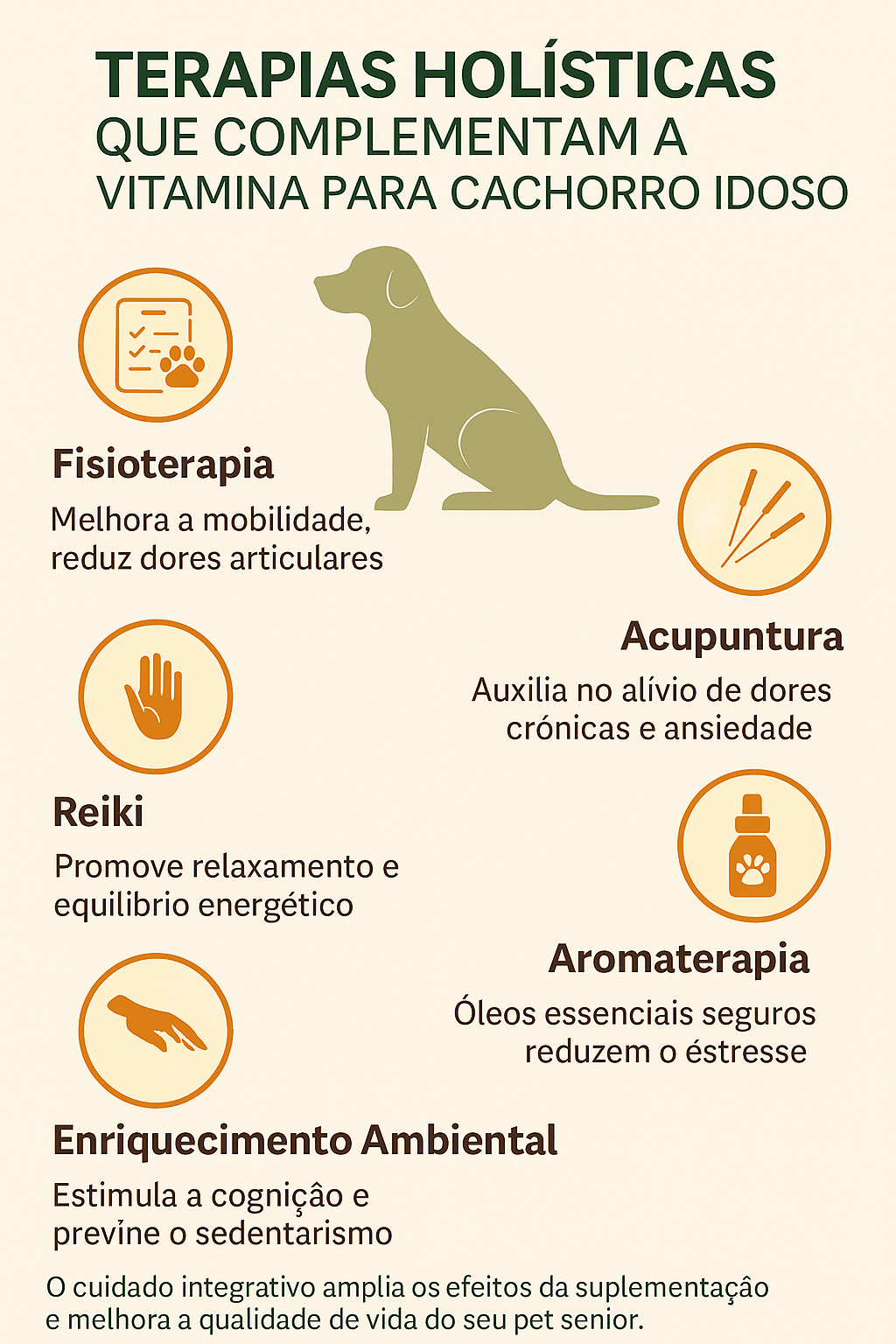Vitamina para Cachorro Idoso