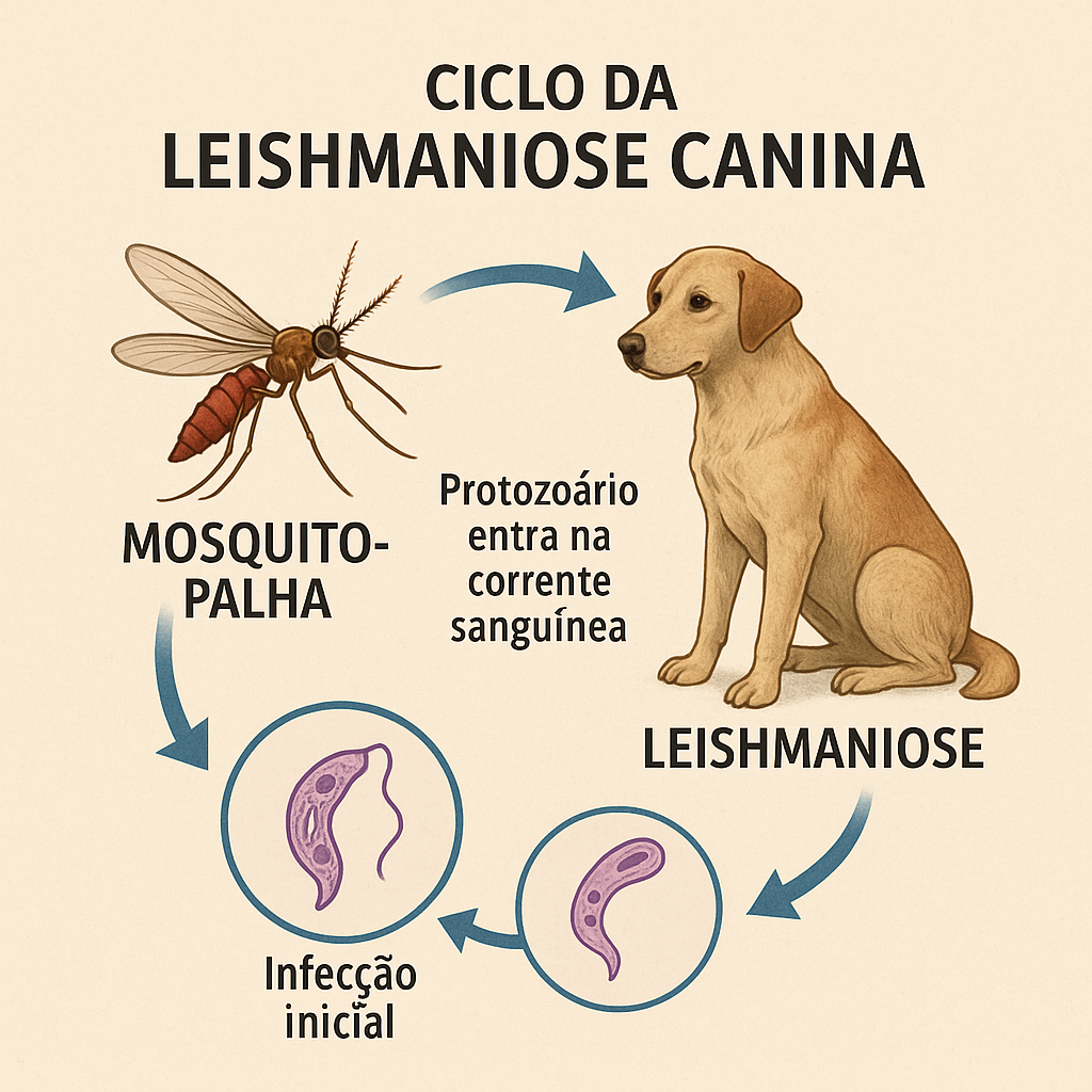 Leishmaniose Canina ainda afeta a tantos: Guia essencial Leishmaniose Canina