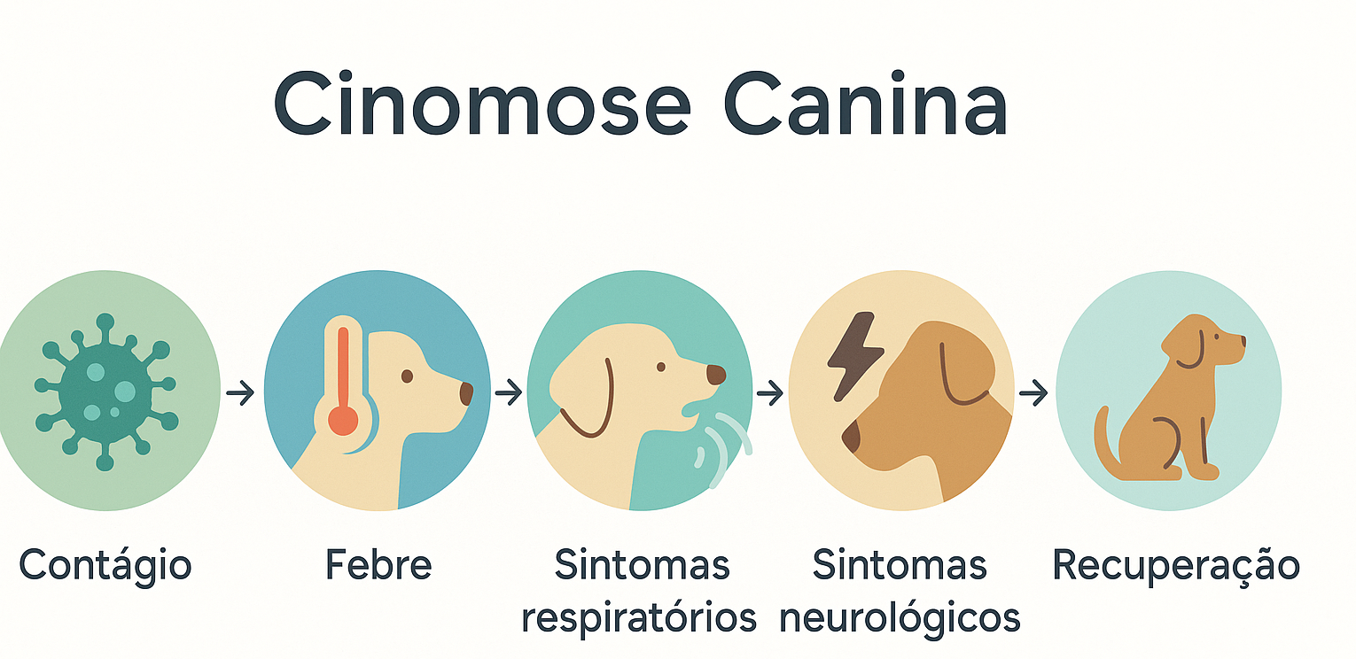 Cinomose Canina: Como Reconhecer e Agir a Tempo Cinomose Canina