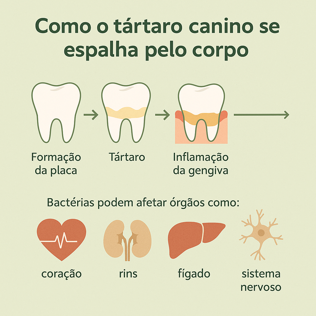 Tártaro canino