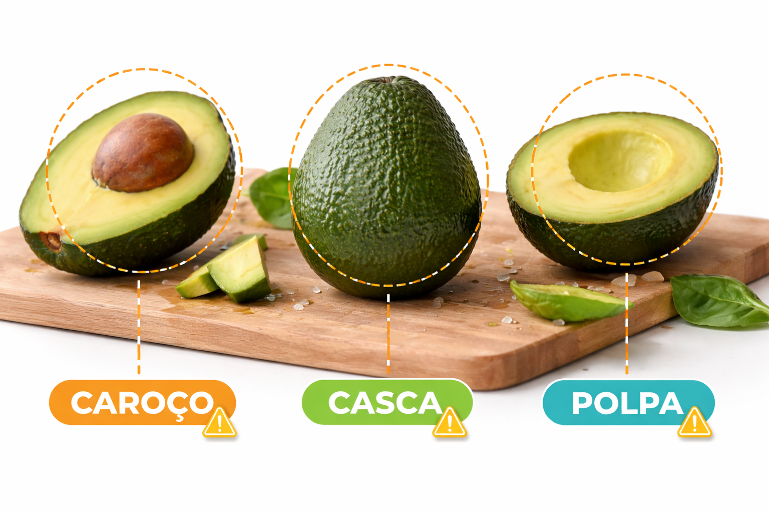 Cachorro Pode Comer Abacate? O Que é Mito, Risco Real e Quando Evitar Cachorro Pode Comer Abacate? O Que é Mito, Risco Real e Quando Evitar