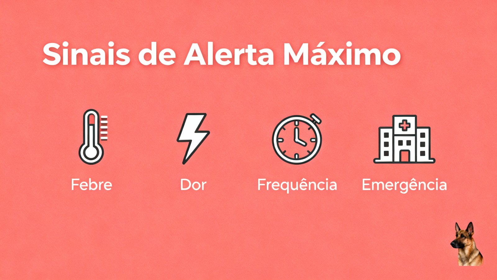 Cachorro Vomitando Sangue