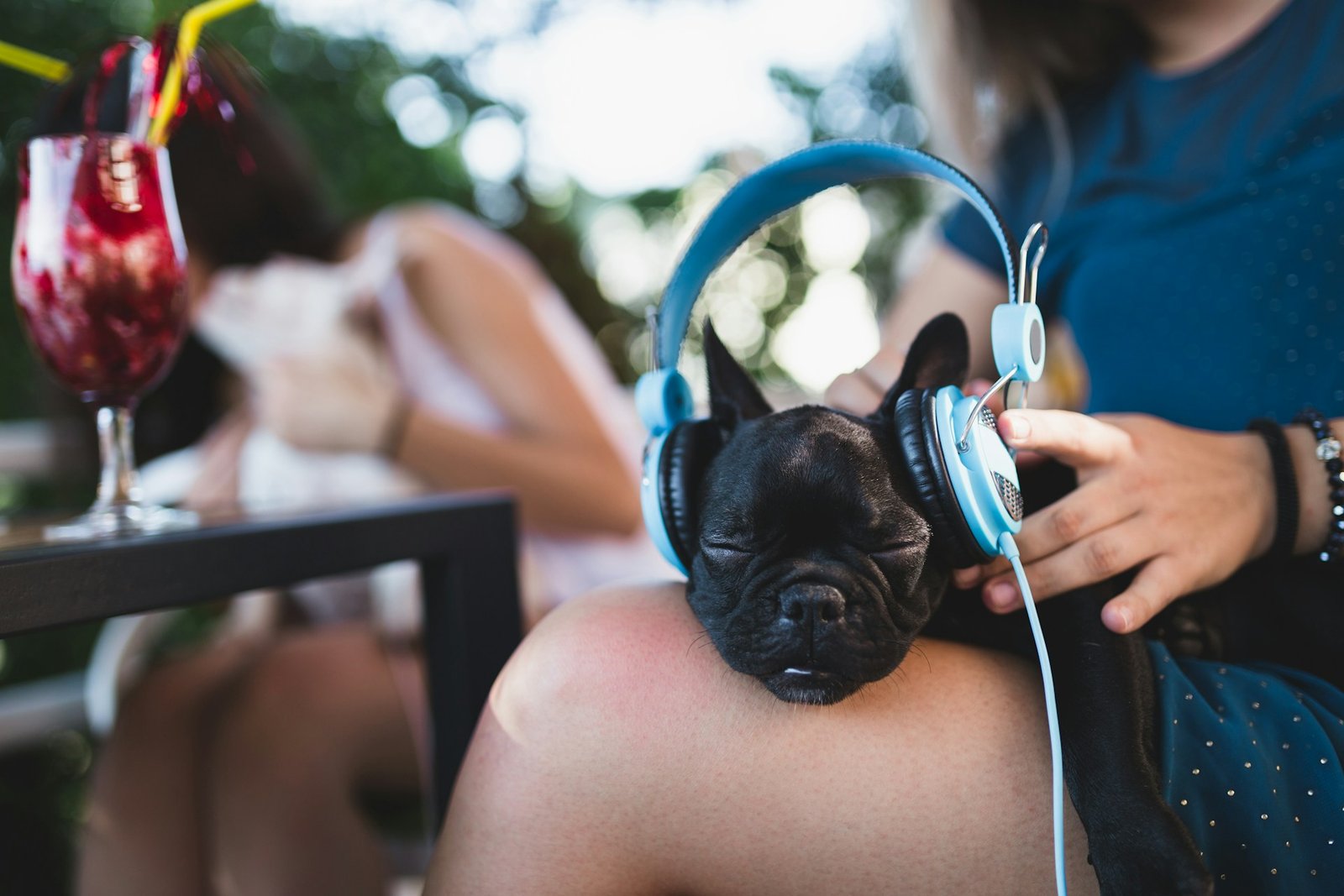 Musica para Relaxar Cachorro