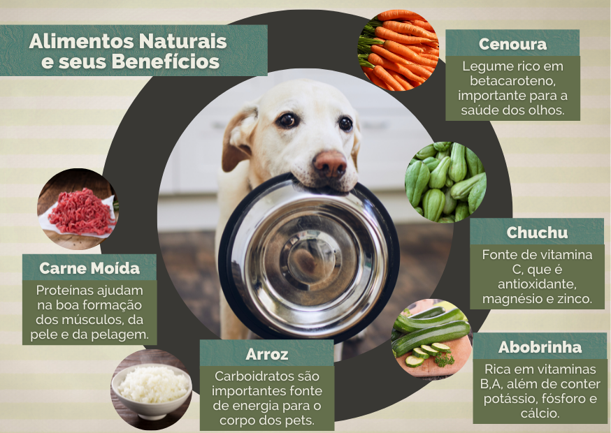 Dieta para Cães