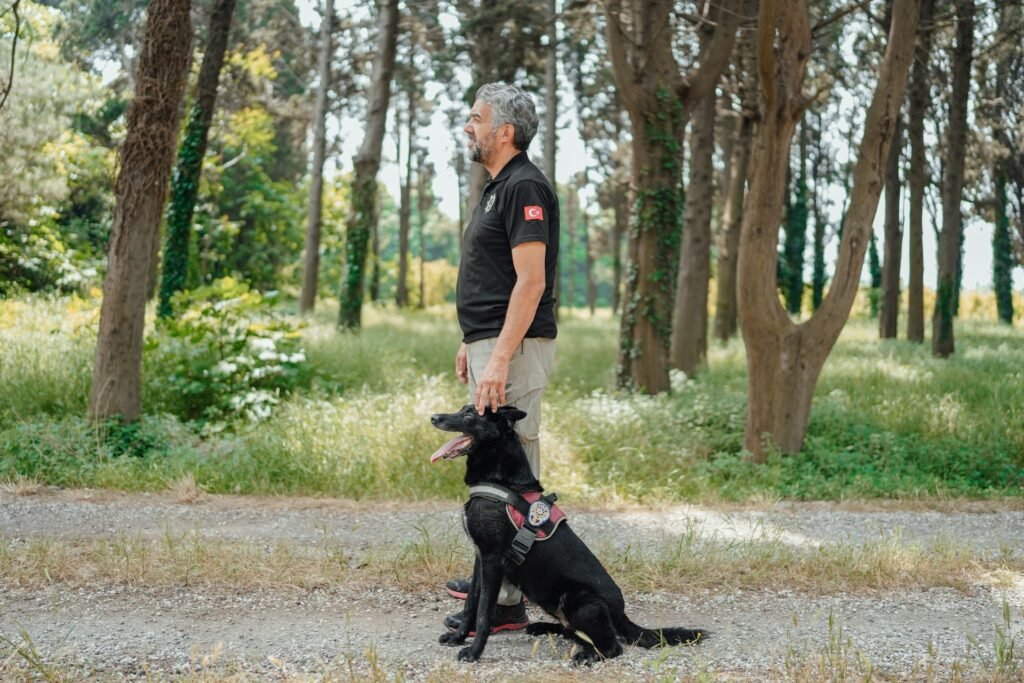 Cão de suporte emocional