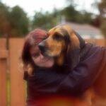 Como o cachorro diz eu te amo - tutora abraçando o cachorro com carinho, corpo relaxado dos dois