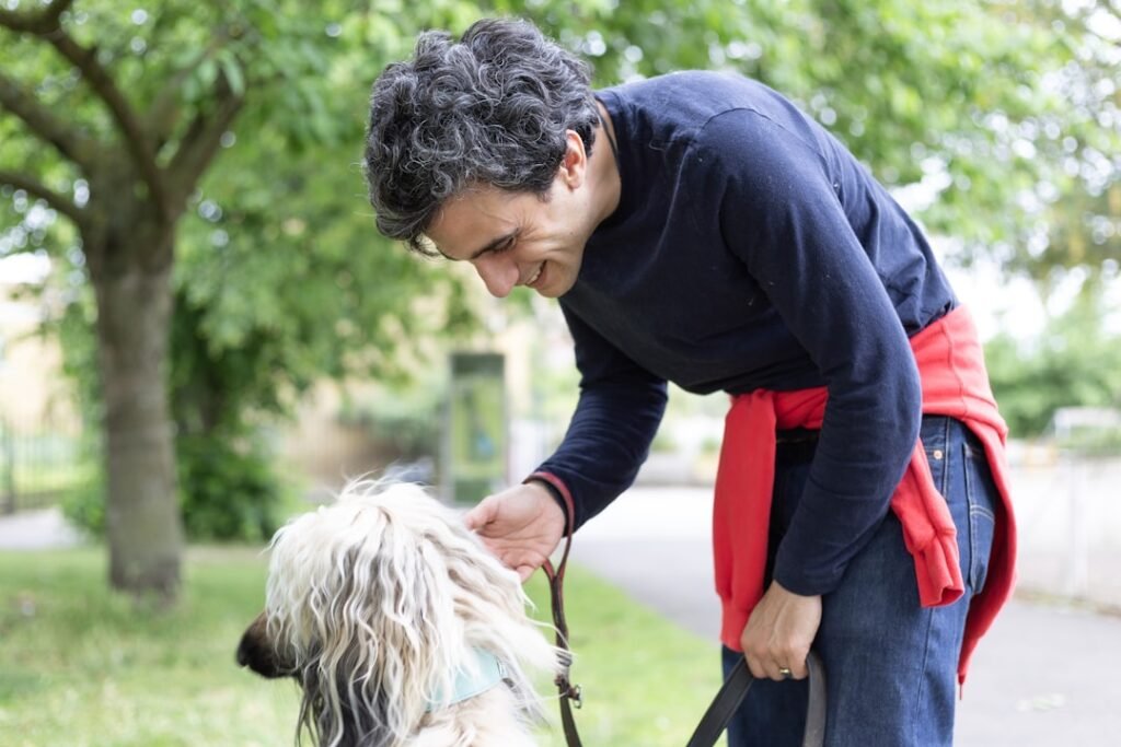 Como o cachorro diz eu te amo - tutor fazendo carinho no cachorro durante o passeio