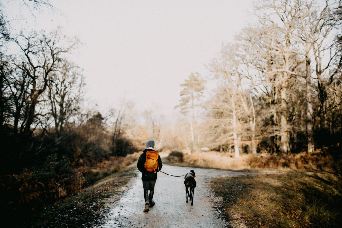 Sedentarismo canino: tutor passeando com o cão em trilha ao ar livre em passeio curto e frequente
