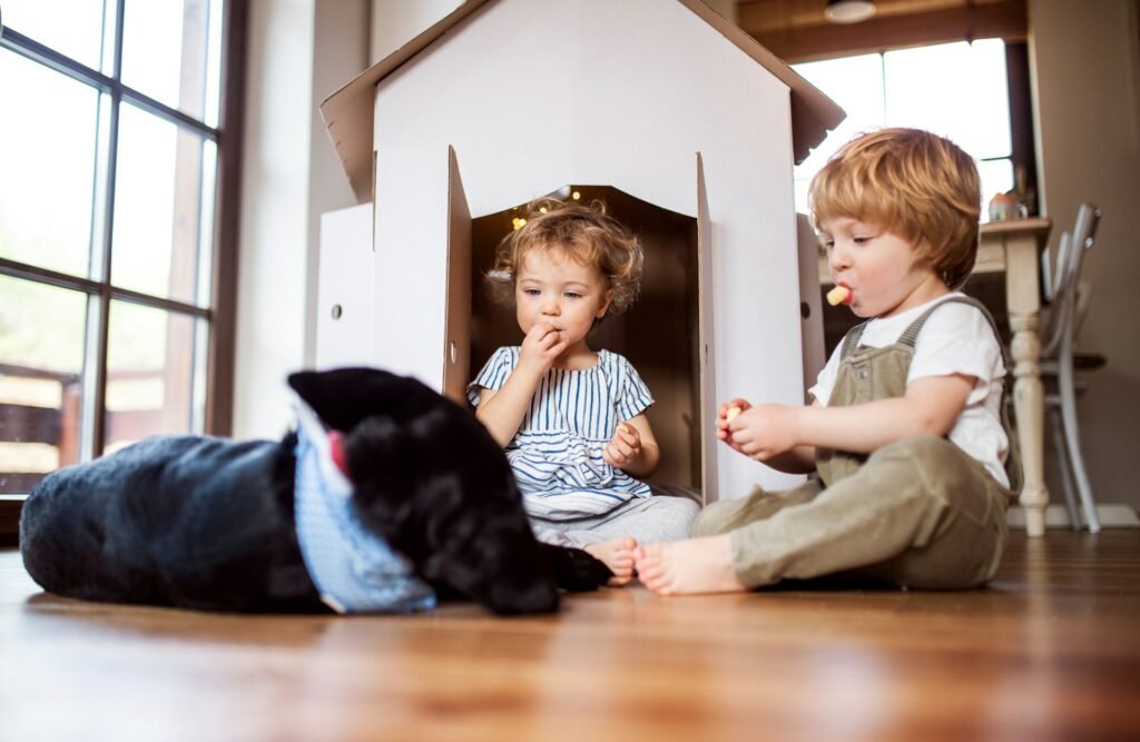 Cachorro e a lei: crianças brincando em casa com um cachorro preto por perto