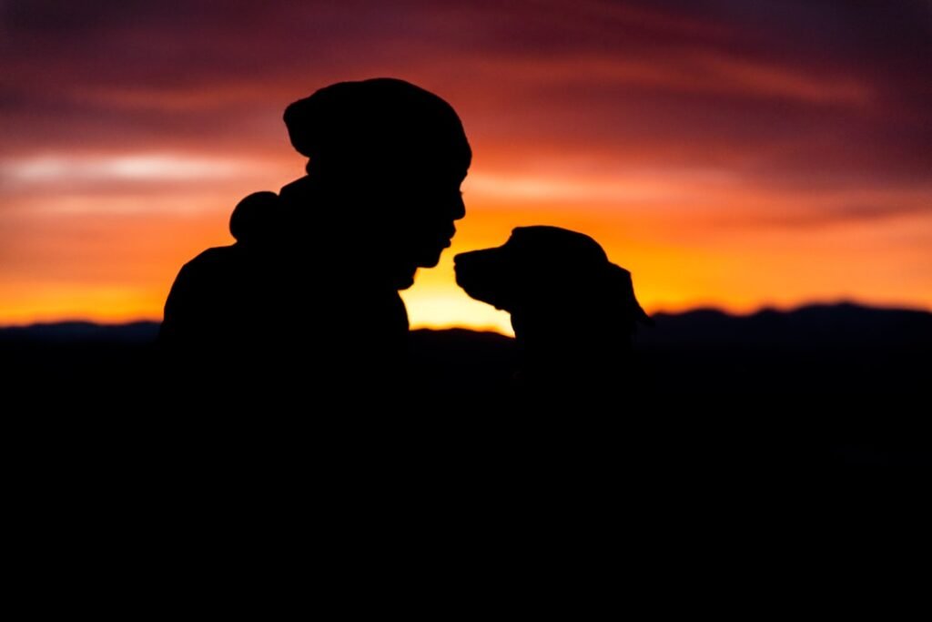 Alma gêmea animal: silhuetas de homem e cachorro nariz a nariz durante o pôr do sol