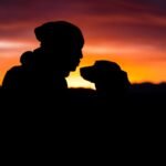 Alma gêmea animal: silhuetas de homem e cachorro nariz a nariz durante o pôr do sol
