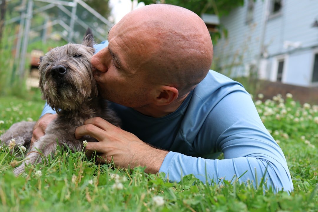 Alma gêmea animal: homem beijando cachorro com carinho deitado na grama
