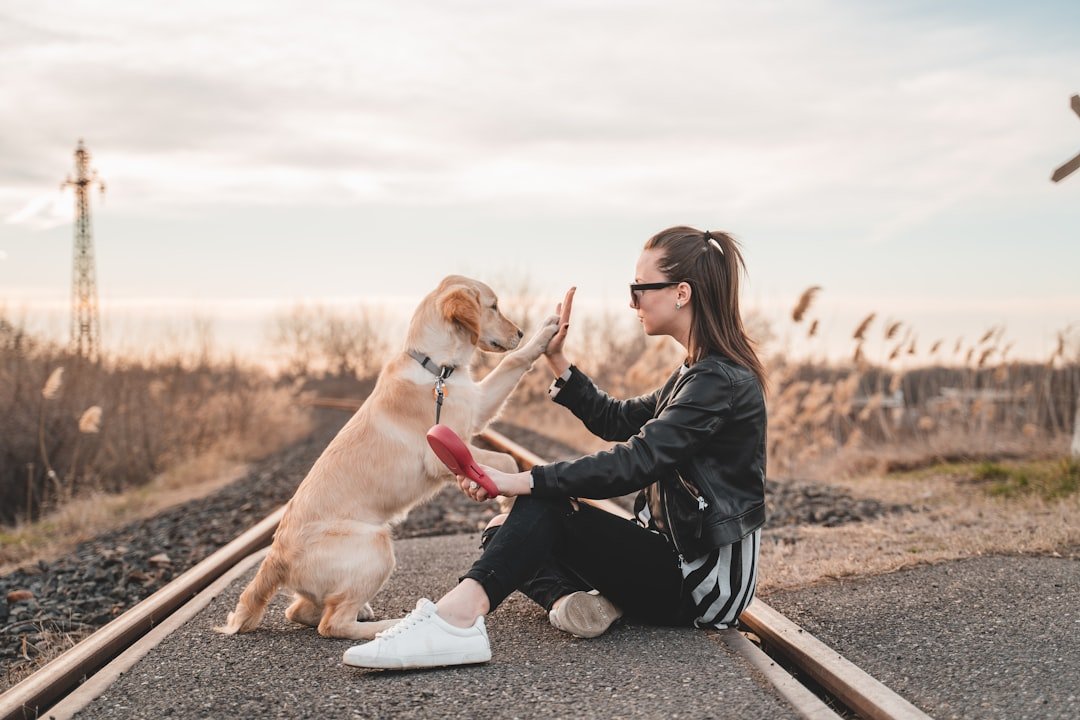 Alma gêmea animal: mulher e golden retriever trocando um high five em momento de conexão