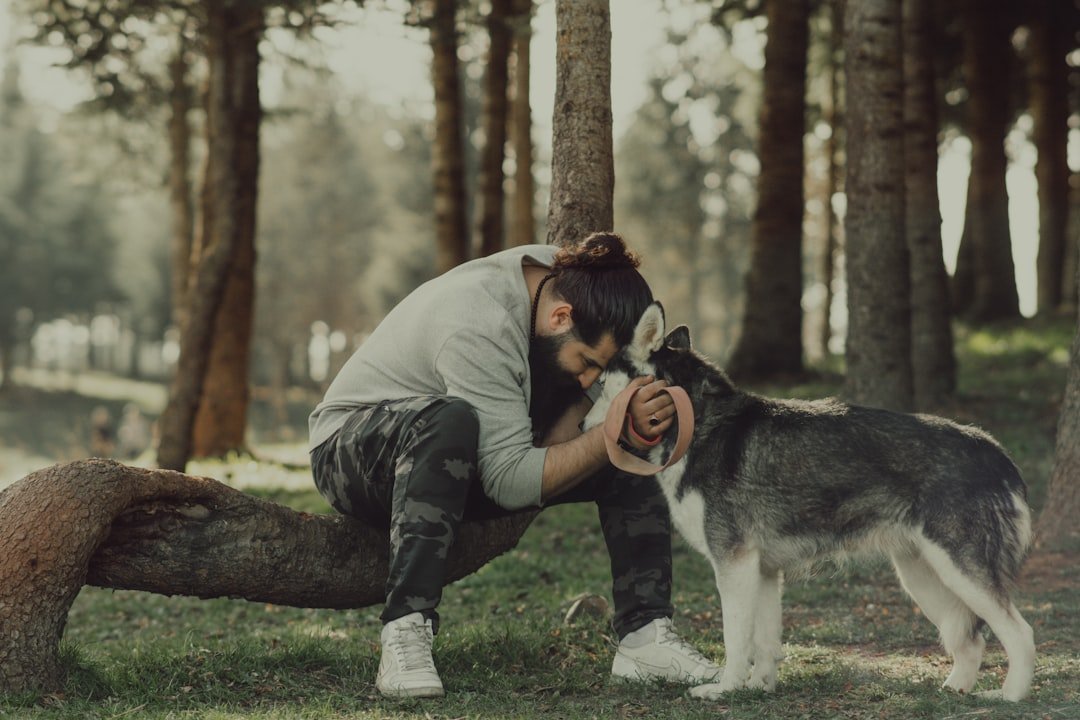 Alma gêmea animal: homem e husky testa com testa em momento de reconhecimento na floresta