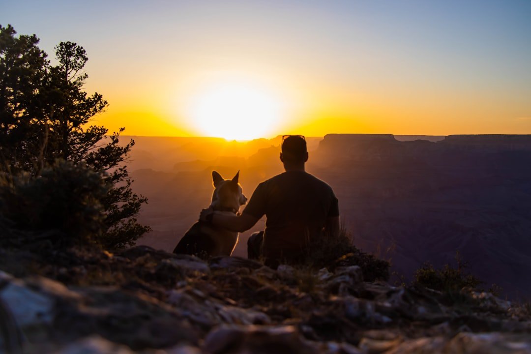 Alma gêmea animal: homem e cachorro sentados observando o pôr do sol juntos