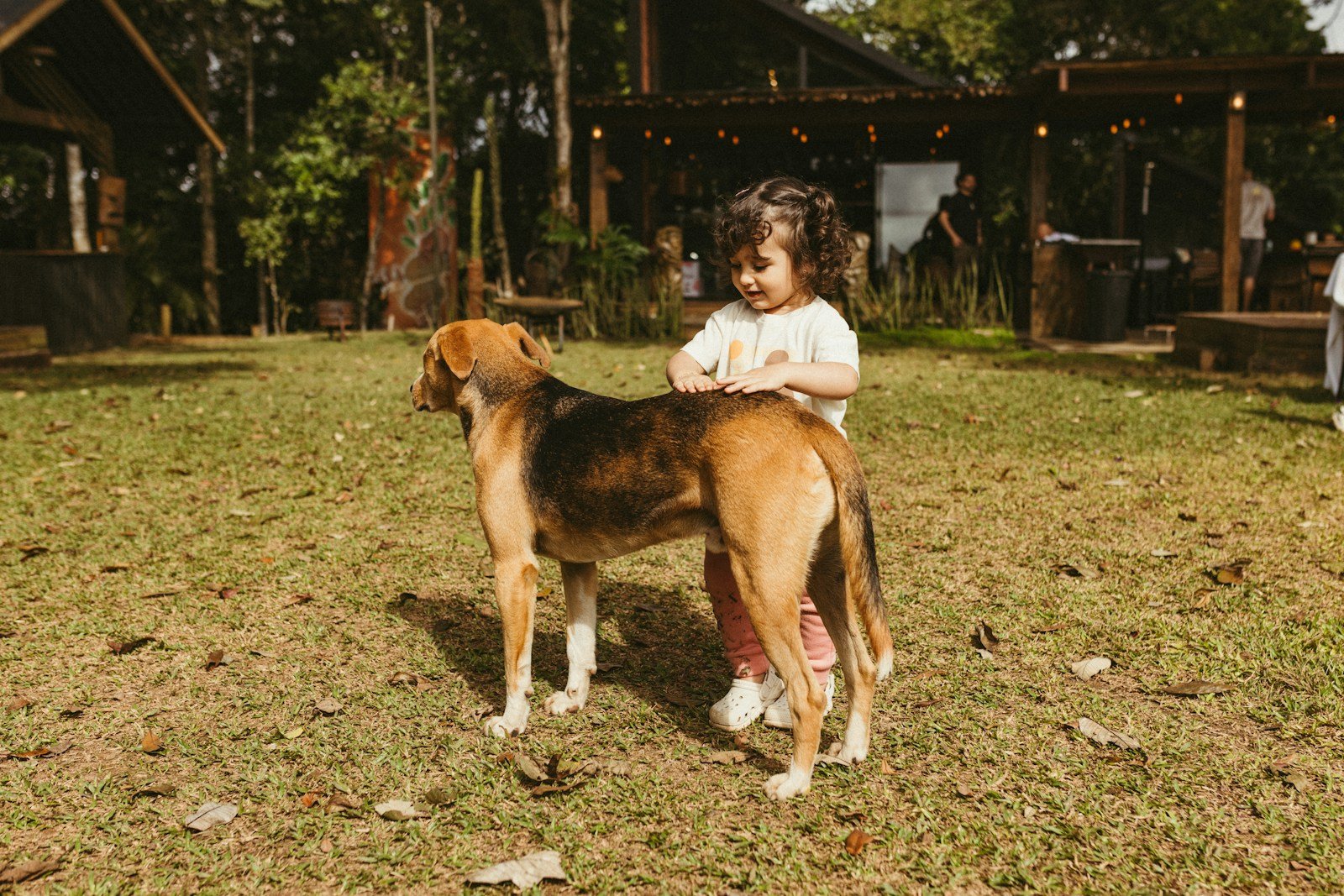 Benefícios de ter um cachorro em casa: criança fazendo carinho em cachorro no quintal