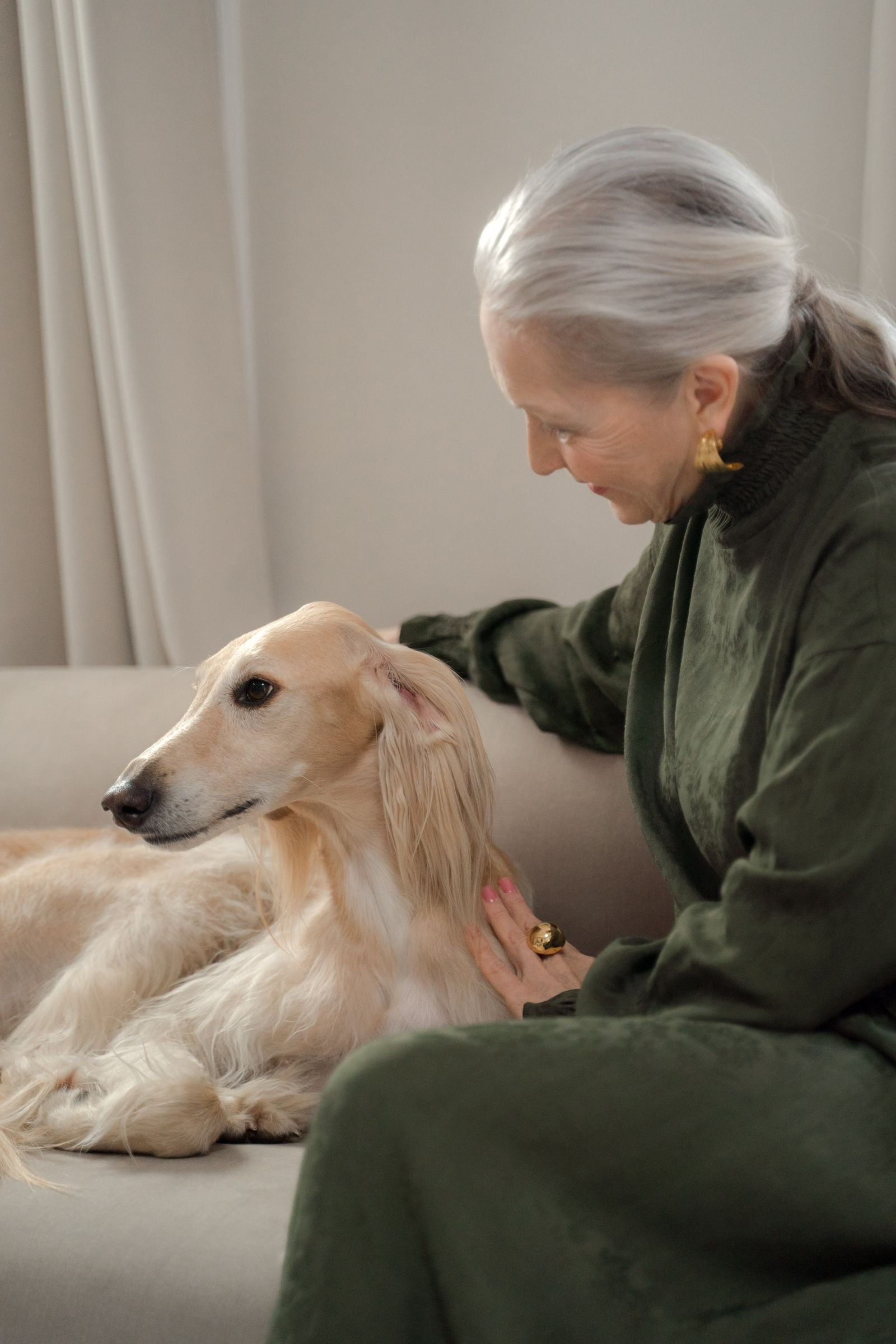 Benefícios de ter um cachorro em casa: mulher idosa acariciando cão elegante no sofá de casa
