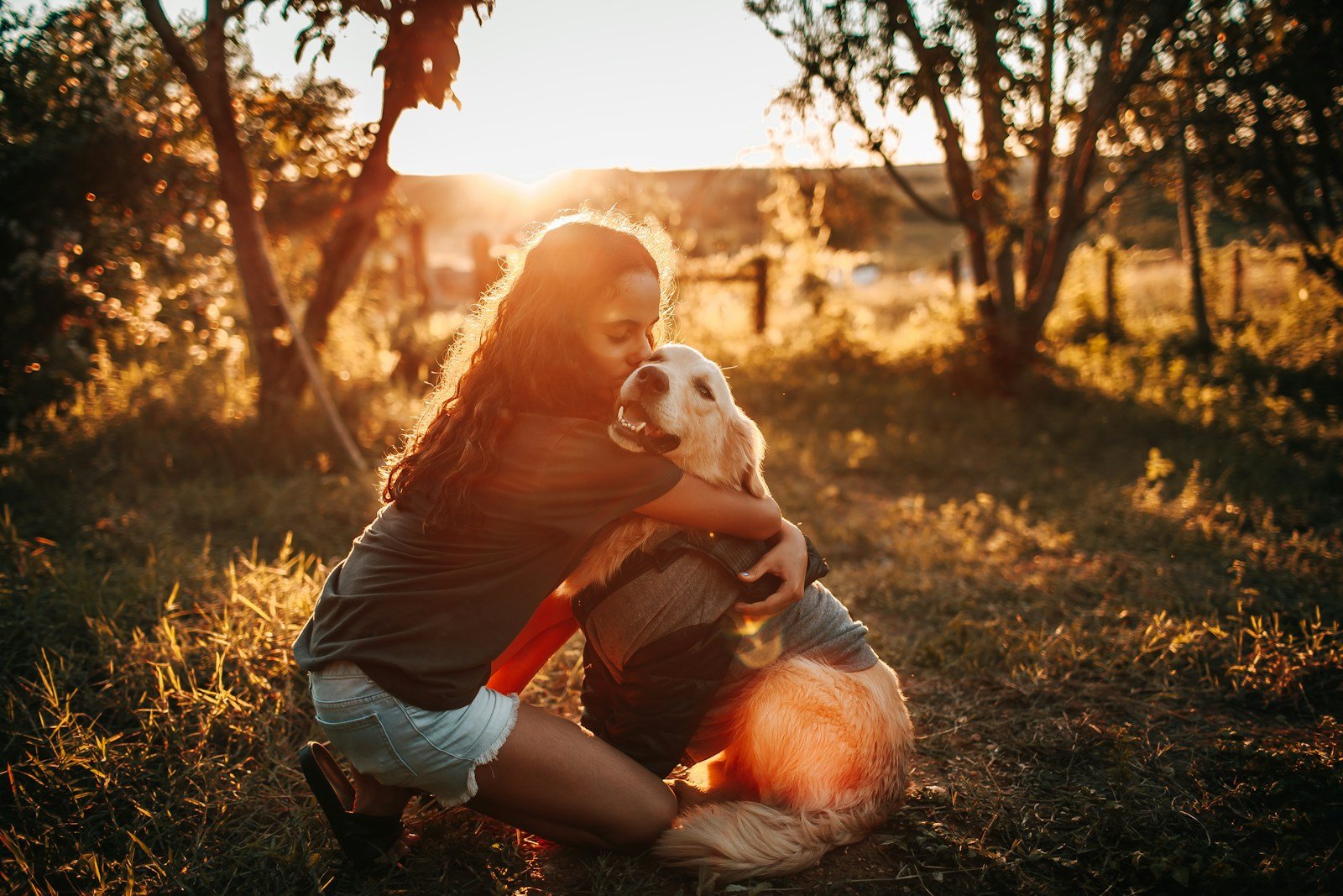 Benefícios de ter um cachorro em casa: mulher abraçando cão dourado ao entardecer