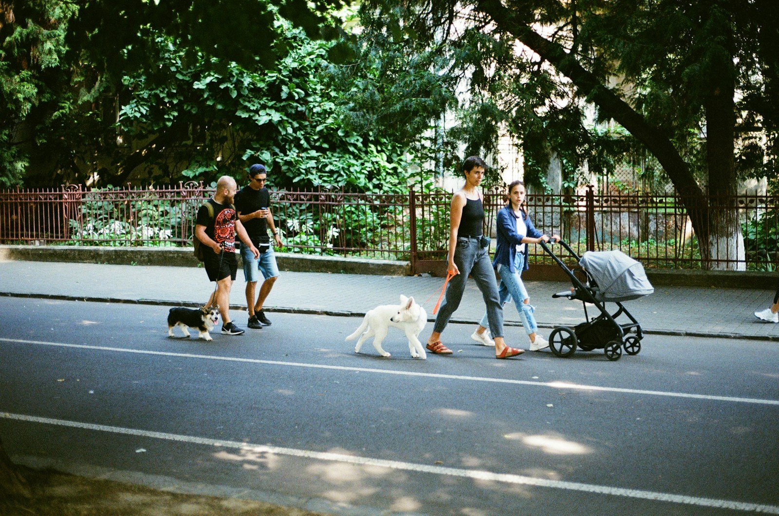 Benefícios de ter um cachorro em casa: pessoas passeando com cães e carrinho de bebê na rua