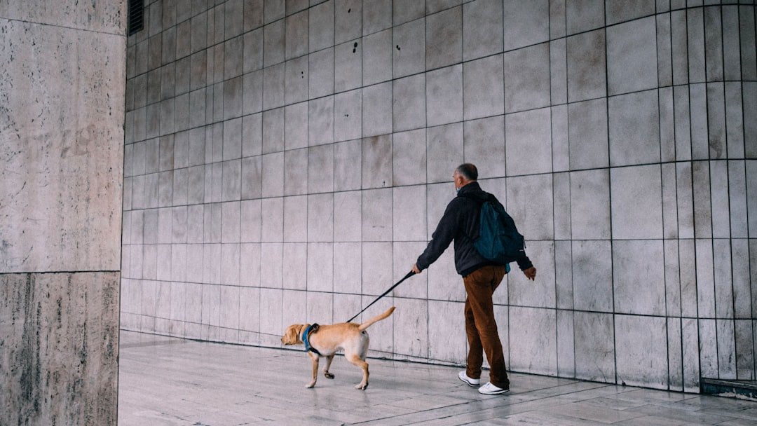 Cachorro em condomínio: homem passeando com cachorro preso à guia curta em corredor do prédio