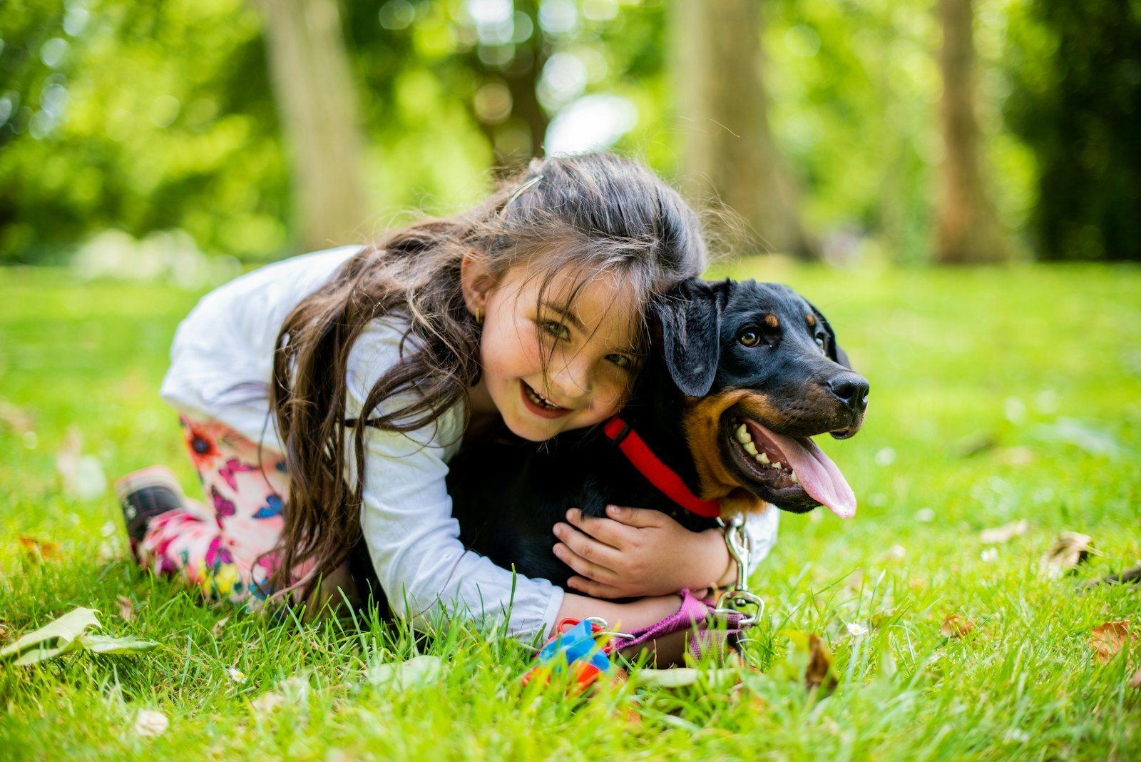 Cachorro para criança autista: menina abraça cachorro deitada na grama