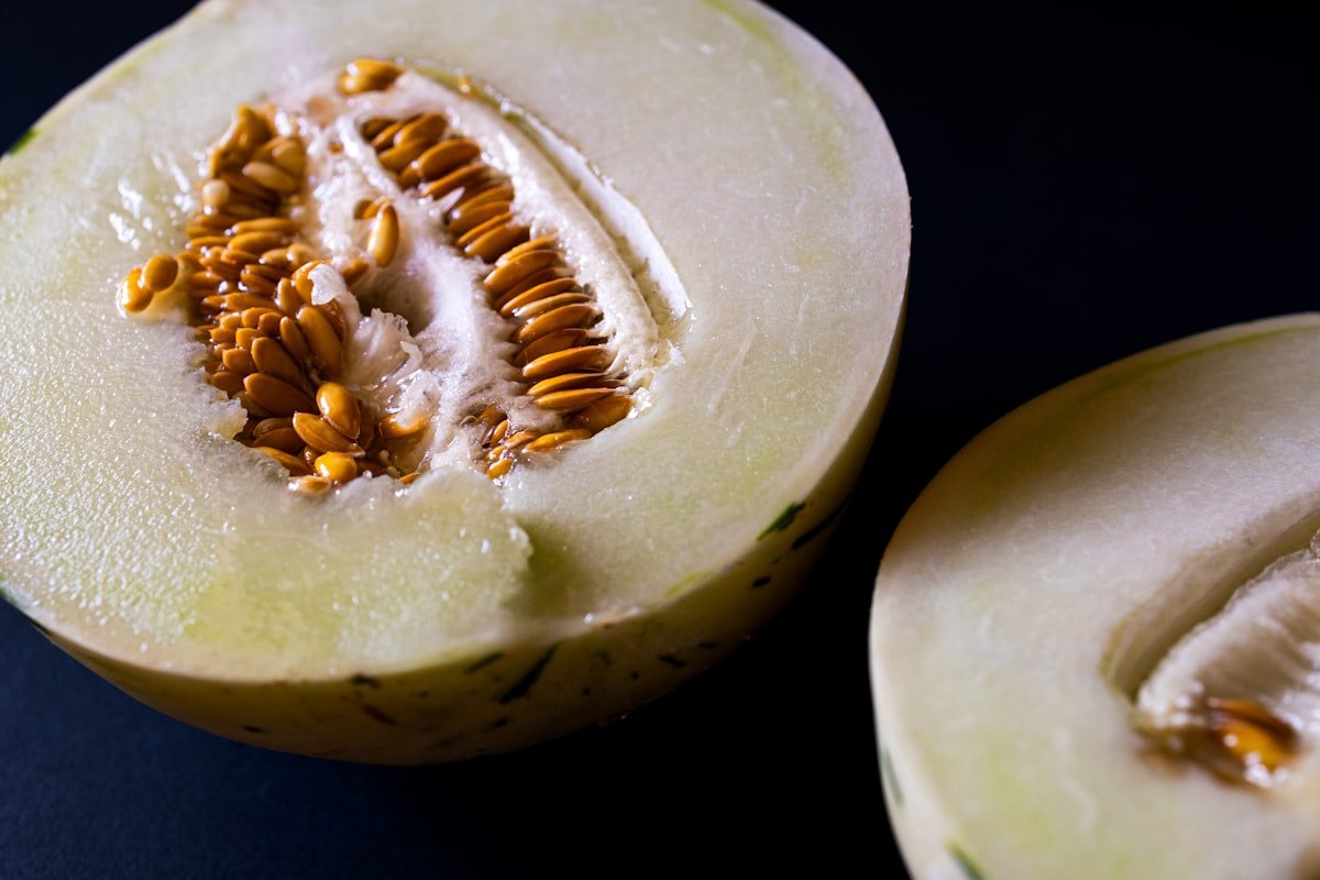 Cachorro Pode Comer Melão? Guia Completo Para Oferecer com Segurança Cachorro pode comer melão sem as sementes, que aparecem bem visíveis no centro da fruta cortada e precisam ser removidas
