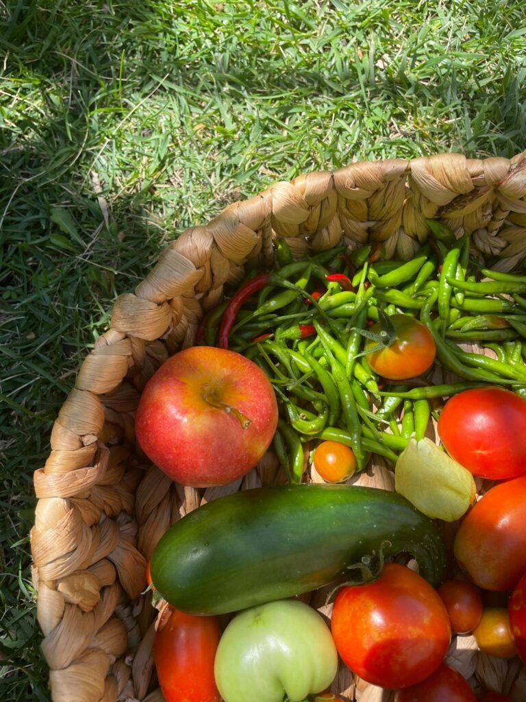 Cachorro pode comer tomate: cesta de vime com variedade de vegetais da horta, incluindo tomate verde, pepino e pimentas