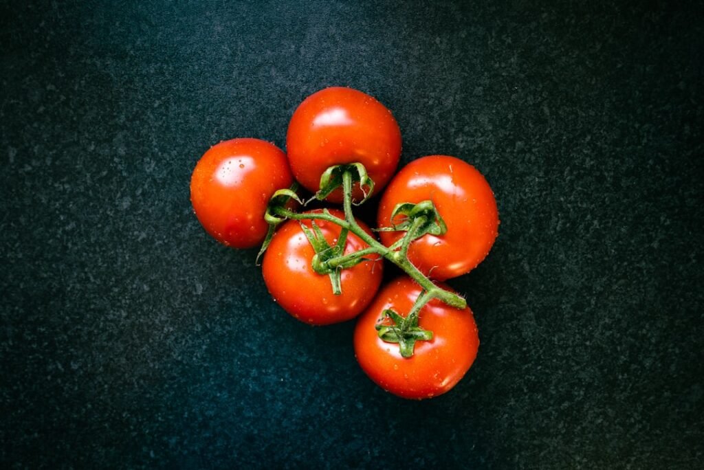 Cachorro pode comer tomate maduro: cacho de cinco tomates vermelhos ainda presos ao pé, com fundo escuro