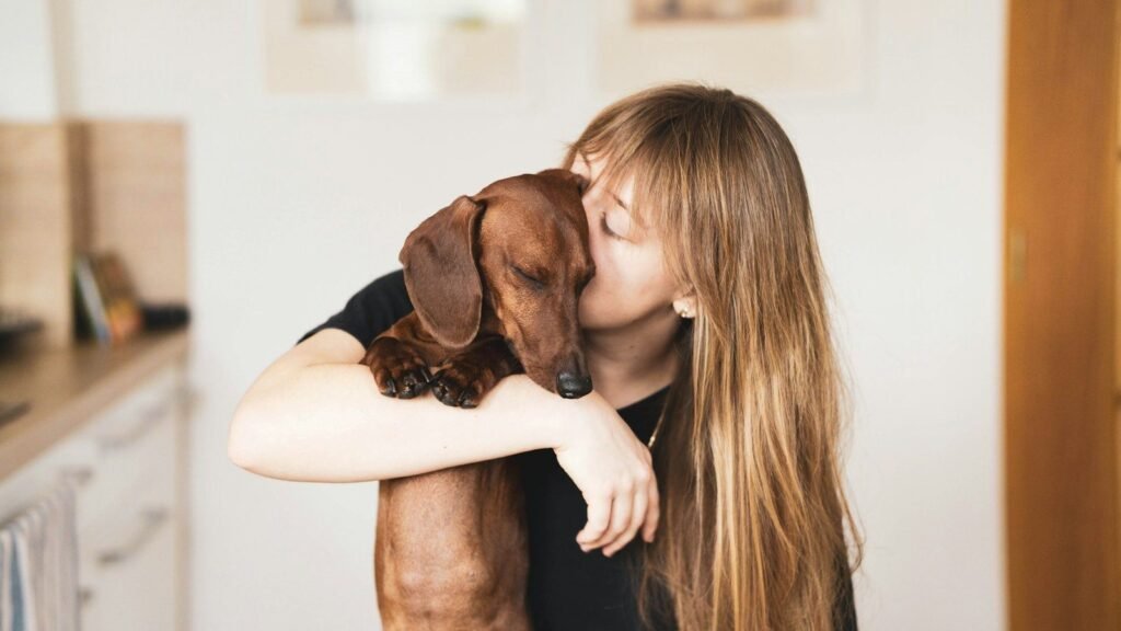 Cachorro tremendo recebendo abraço acolhedor da tutora em casa