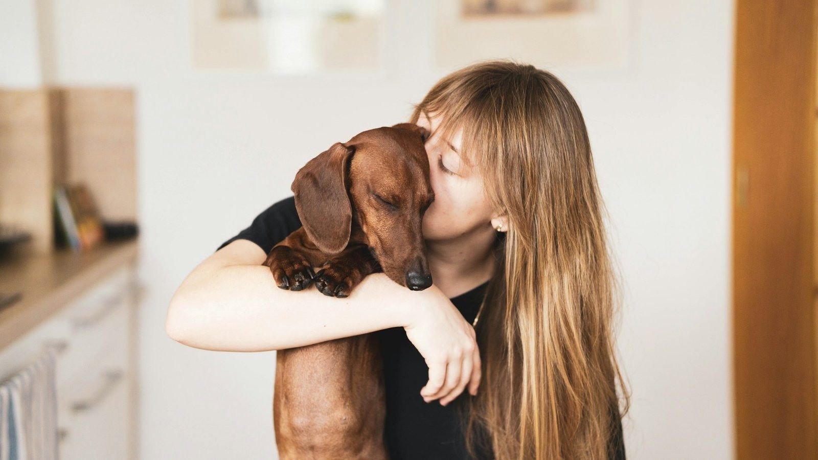 Cachorro tremendo recebendo abraço acolhedor da tutora em casa