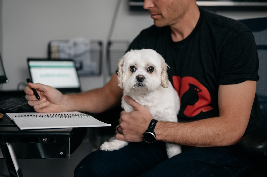 Tutor observando e anotando os sinais do cachorro tremendo para acompanhamento