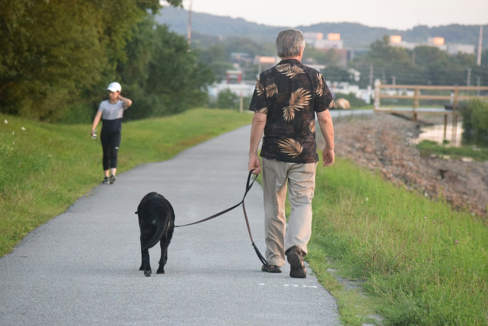 Cão-guia labrador preto caminha ao lado do tutor idoso em trilha