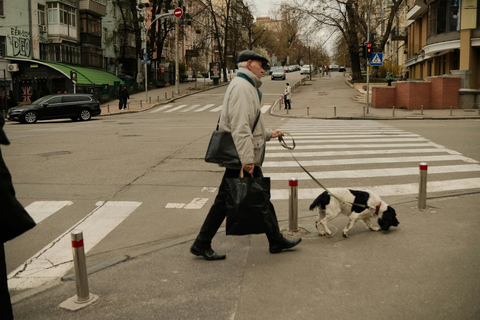 Cão-guia atravessa a faixa de pedestre ao lado do tutor na cidade