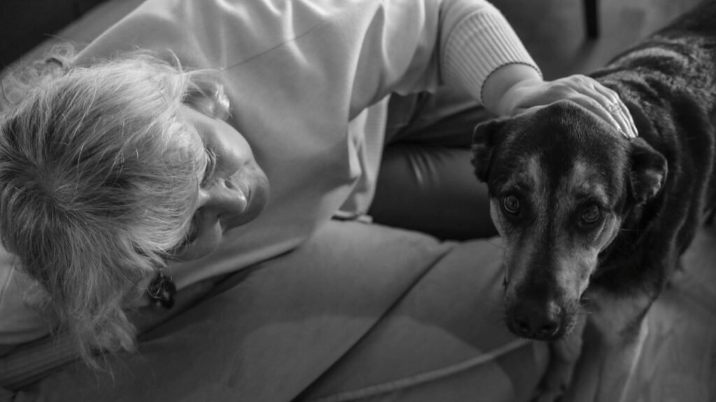 Cuidados paliativos para cachorro: tutora acariciando cão idoso com carinho no sofá