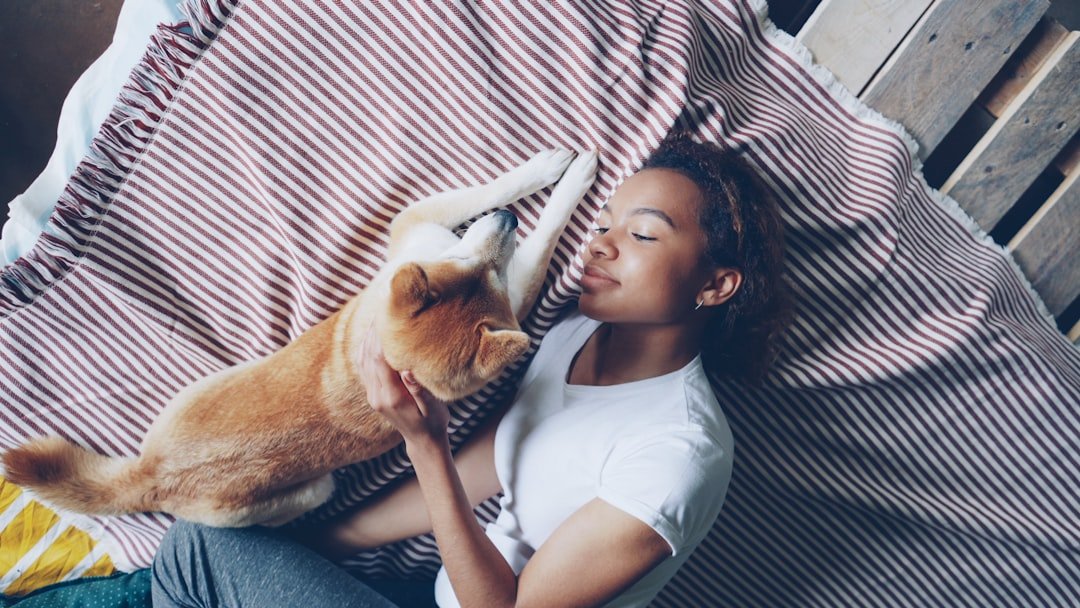 Dormir com o cachorro faz mal espiritualmente: mulher deitada em cama com cachorro shiba inu, vista de cima, ambiente aconchegante