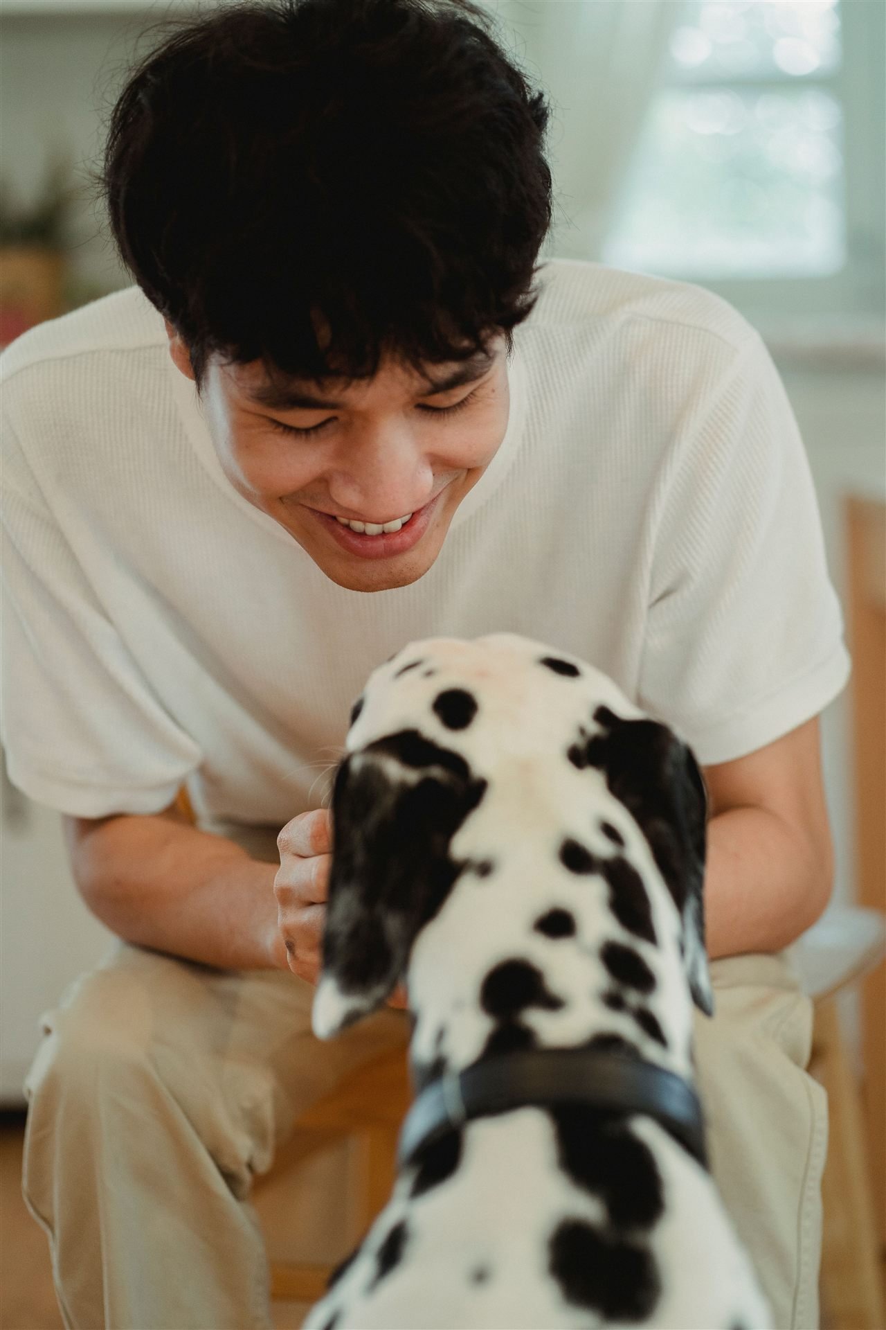 Educação canina positiva: tutor e cão trocando olhar de afeto e conexão