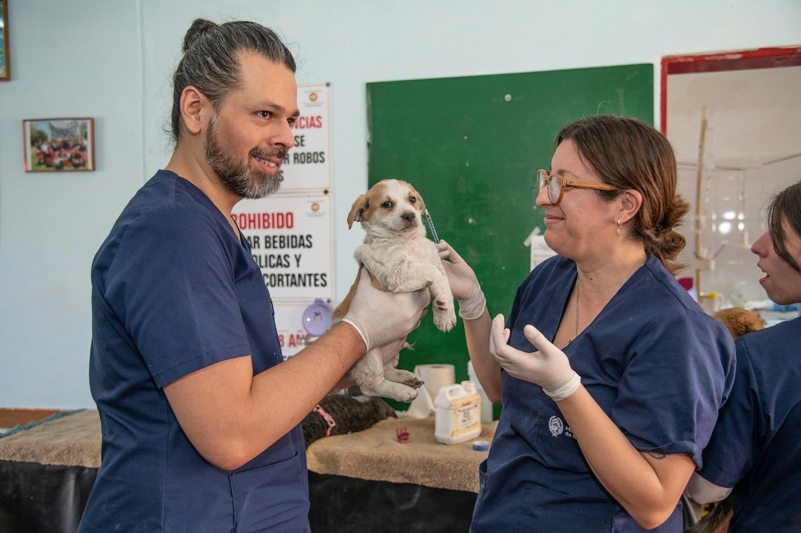 Hipotireoidismo em cachorro: tutor segurando um cão pequeno no colo durante avaliação
