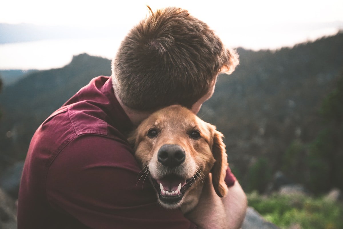 Microchipagem em animais: o cuidado silencioso que pode salvar seu cachorro Microchipagem em animais representa um cuidado preventivo dentro do vínculo entre tutor e cachorro