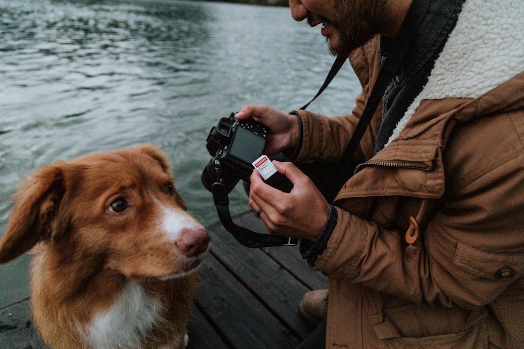 Nome de cachorro de rico: tutor fotografando o cão com uma câmera à beira do lago