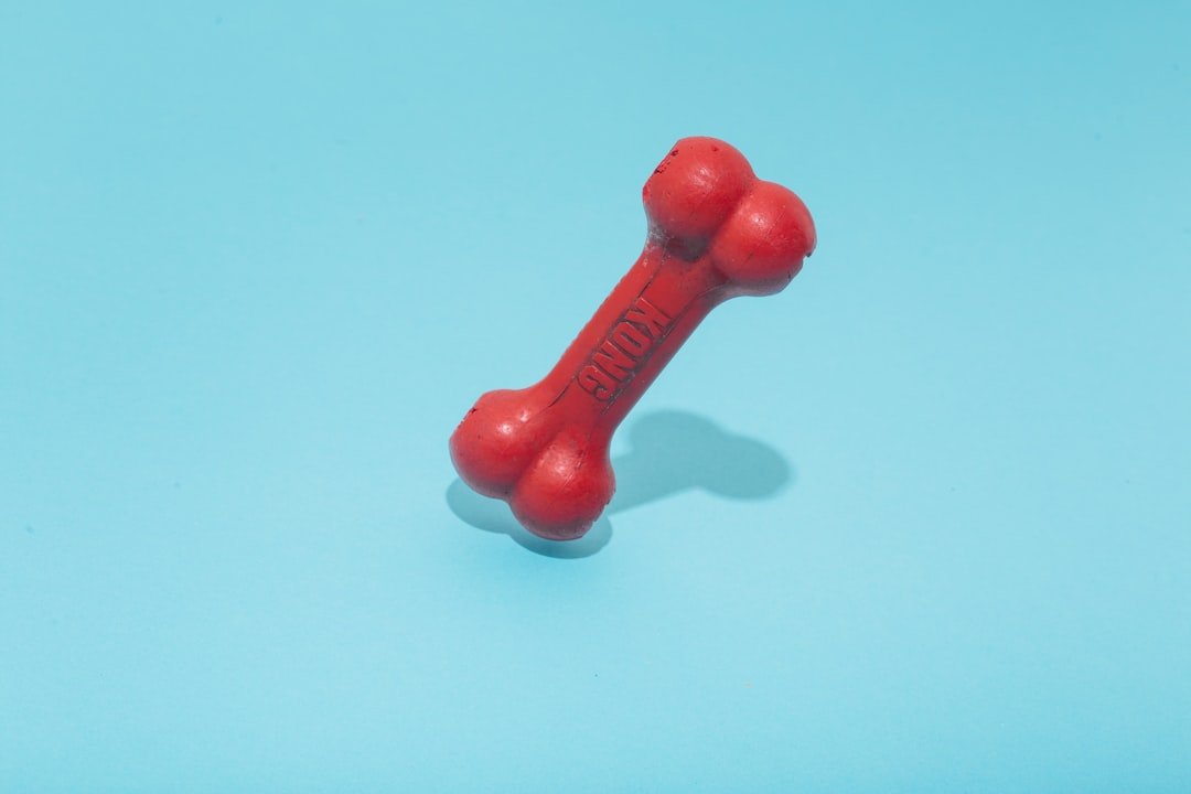 Osso cozido para cachorro: brinquedo mastigável vermelho em formato de osso sobre fundo azul