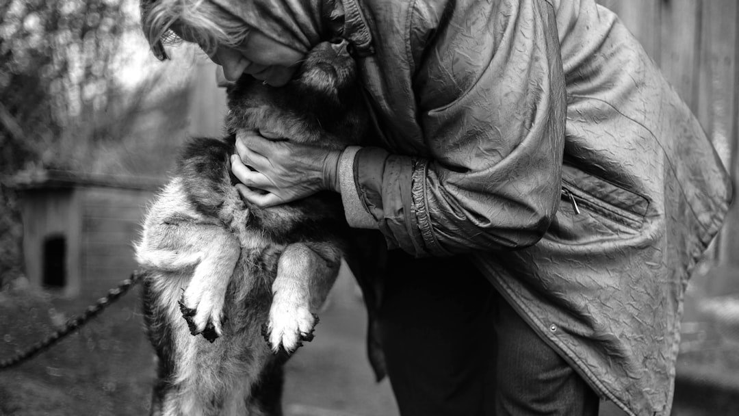 Pessoas que atraem cachorros espiritualmente: pessoa abraçando com carinho um cachorro de rua, gesto de acolhimento