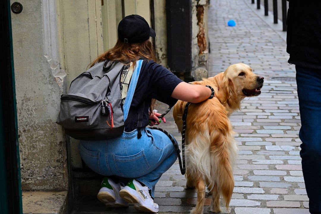 Pessoas que atraem cachorros espiritualmente: golden retriever se aproxima e encosta em mulher agachada numa rua de paralelepípedos