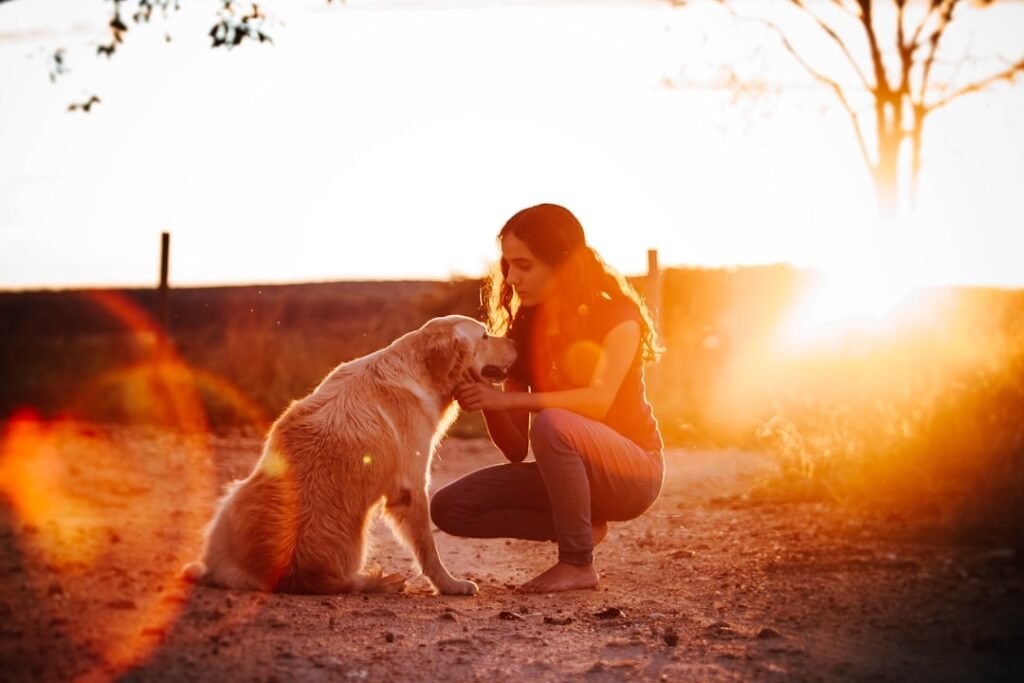 Pessoas que atraem cachorros espiritualmente: mulher agachada ao entardecer com cachorro dourado tocando sua mão suavemente