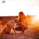 Pessoas que atraem cachorros espiritualmente: mulher agachada ao entardecer com cachorro dourado tocando sua mão suavemente