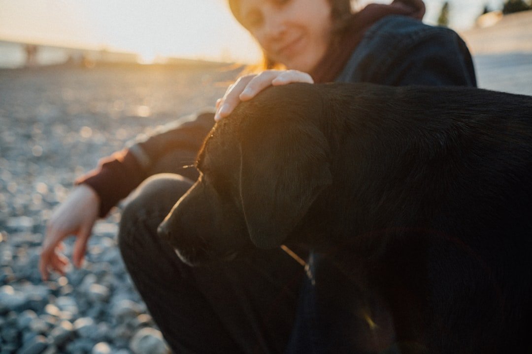 Pessoas que atraem cachorros espiritualmente: mulher sorri ao acariciar cachorro preto durante o pôr do sol na praia