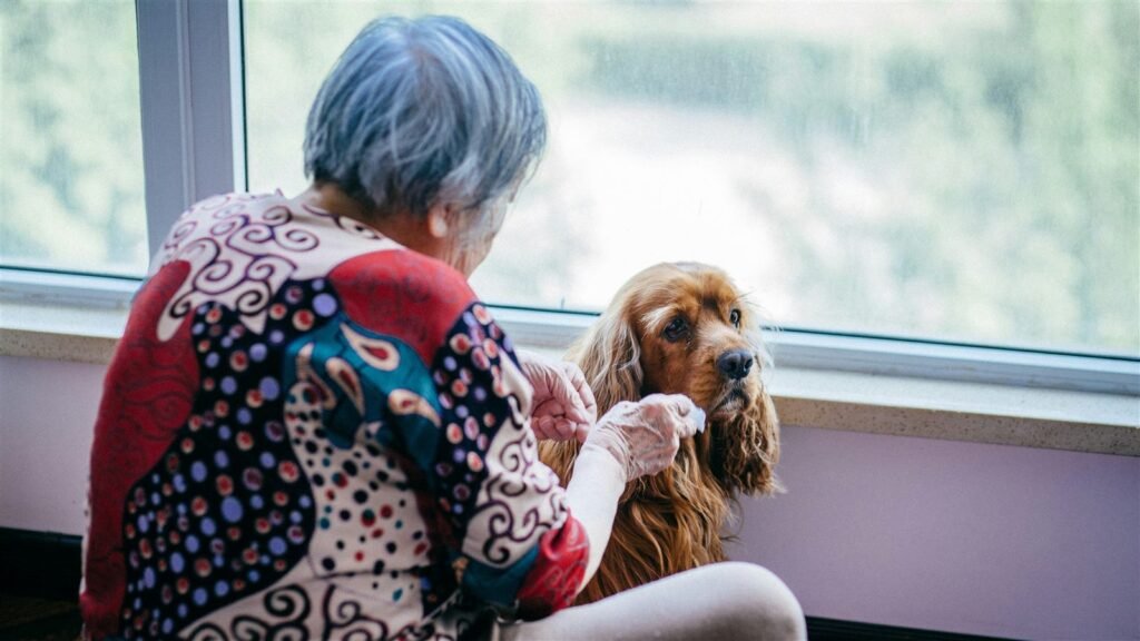 Tabela de vacinas para cachorro idoso: tutora idosa cuidando do seu cão sênior perto da janela