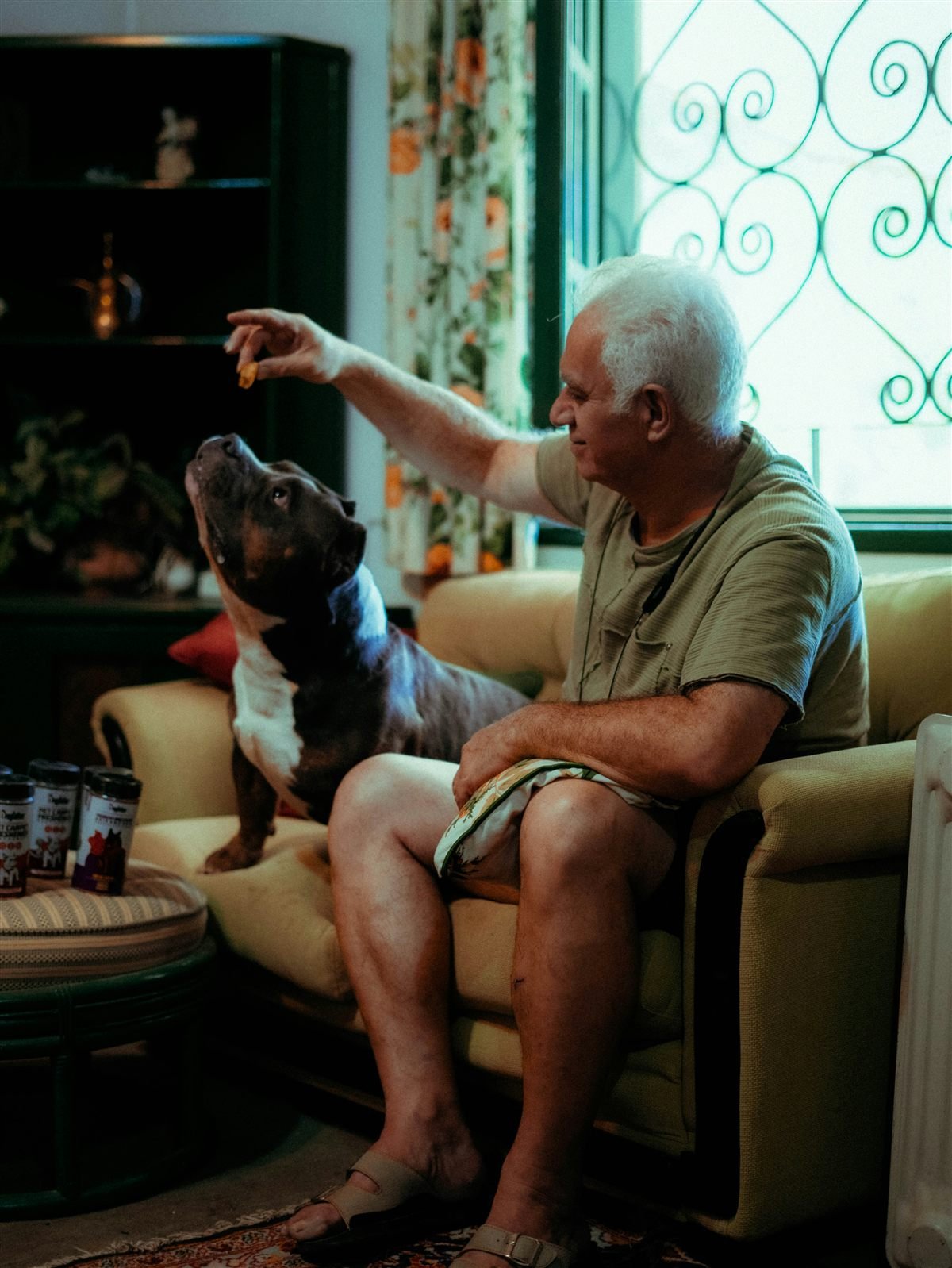 Tabela de vacinas para cachorro idoso: tutor idoso cuidando do cão em casa no dia a dia