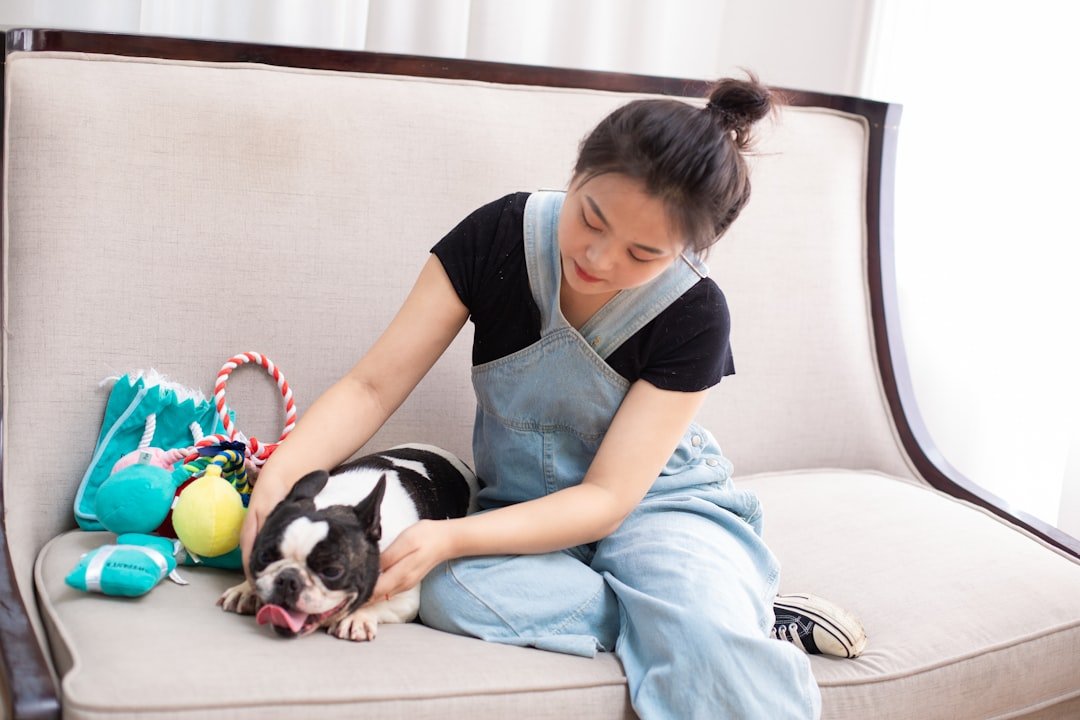 Tosse canina: tutora fazendo carinho em cão pequeno confortavelmente instalado no sofá