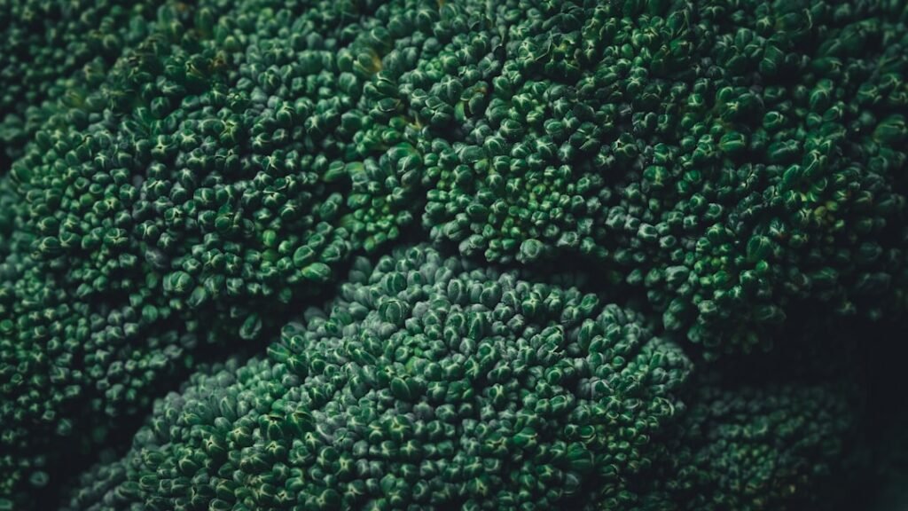 Cachorro pode comer brócolis: close-up das florzinhas verdes do vegetal, onde se concentra o isotiocianato