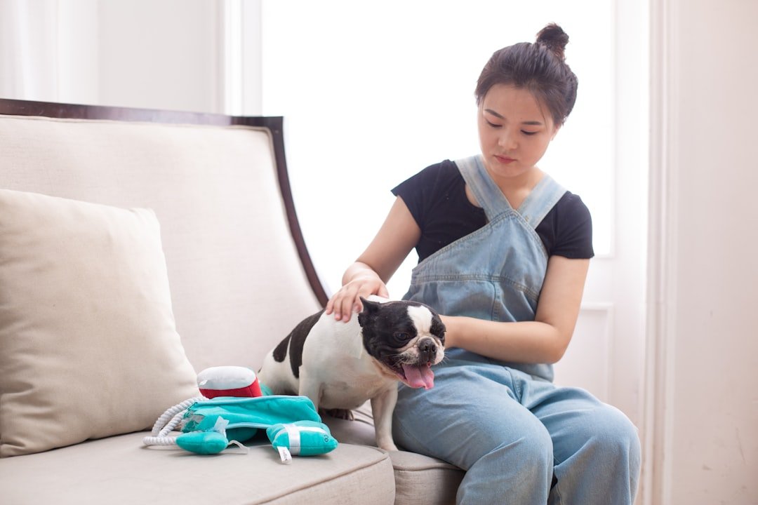 Cristais de proteção para cães: tutora fazendo carinho em buldogue francês no sofá de casa
